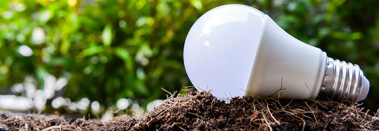 eco led bulb
